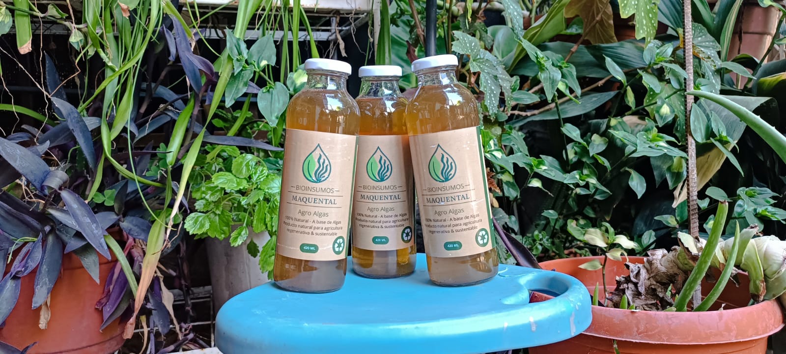 Agroalgas producto